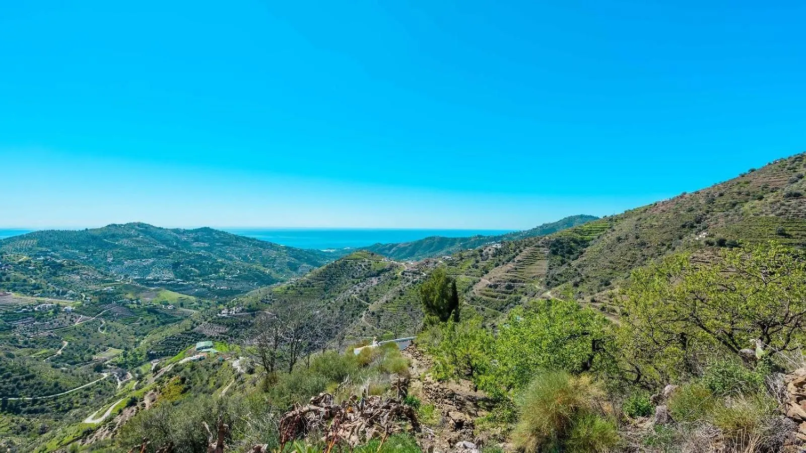 Finca Hornillo Competa By Ruralidays Spain